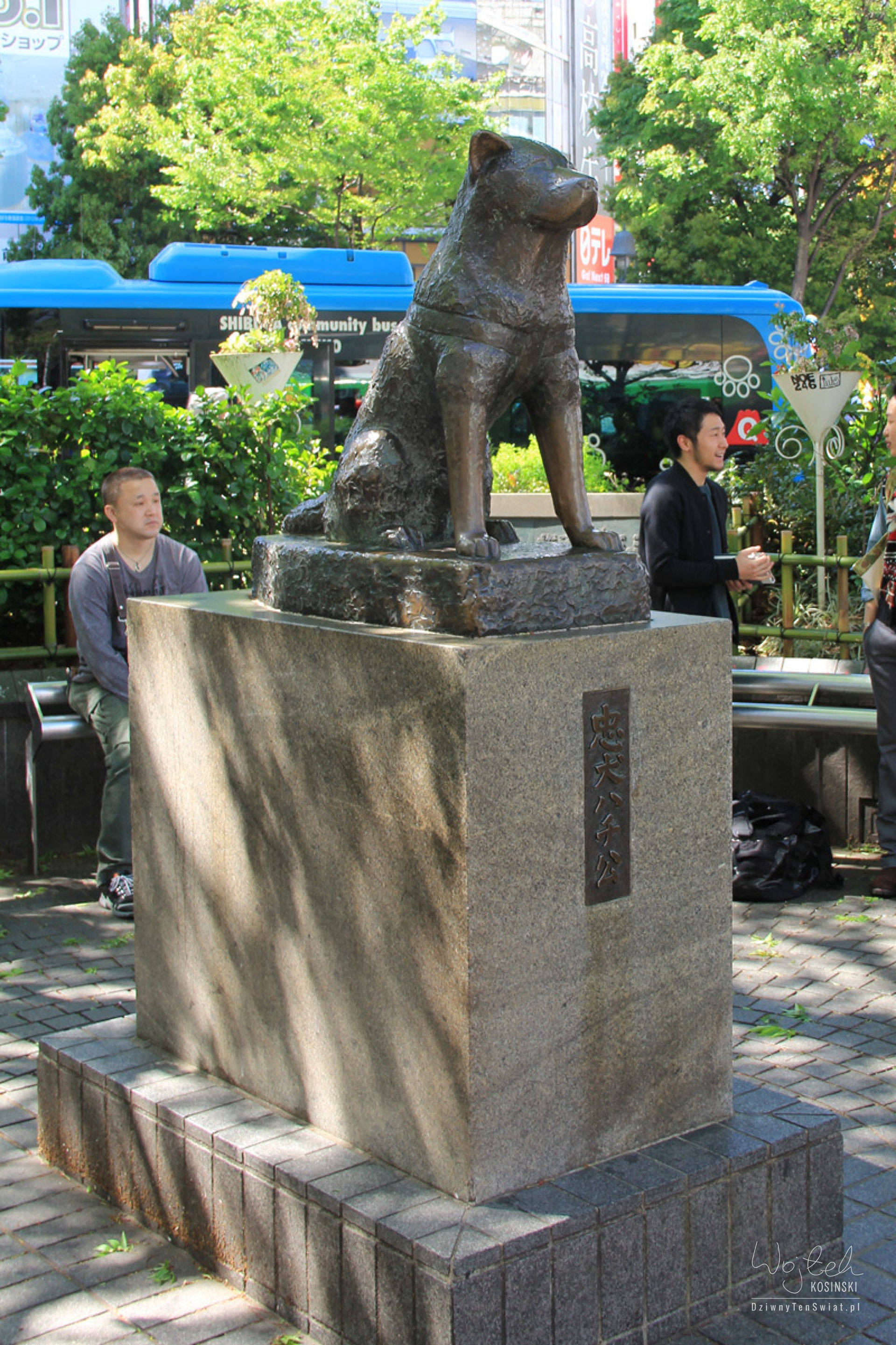 Pomnik Hachikō